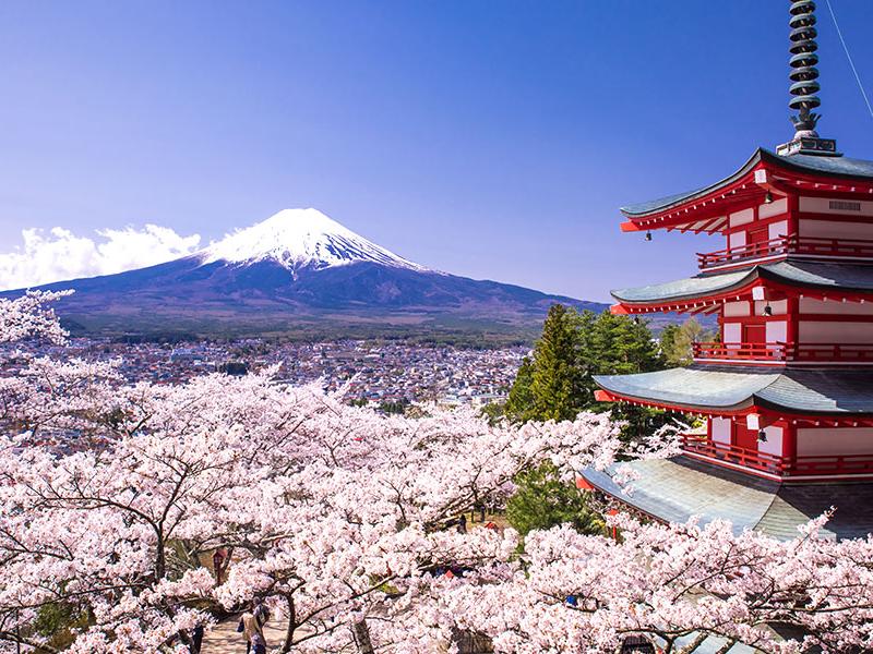 CHƯƠNG TRÌNH KỸ THUẬT VIÊN - THỰC TẬP SINH JAPAN THÁNG 11