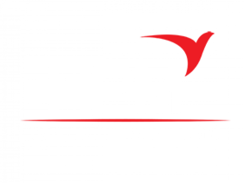 TỔ CHỨC ĐÀO TẠO DOANH NHÂN HPM TRẢI THẢM ĐỎ đón các ứng viên mới ra trường năng động, nhiệt huyết.