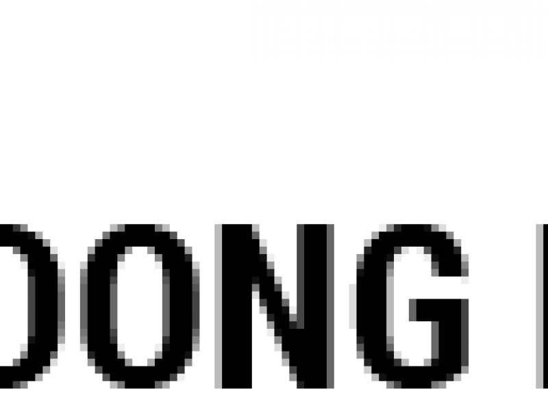  KSEG SHINDONG DIGITECH CO., LTD TUYỂN KỸ SƯ MÁY TÀU BIỂN GIỎI TIẾNG ANH